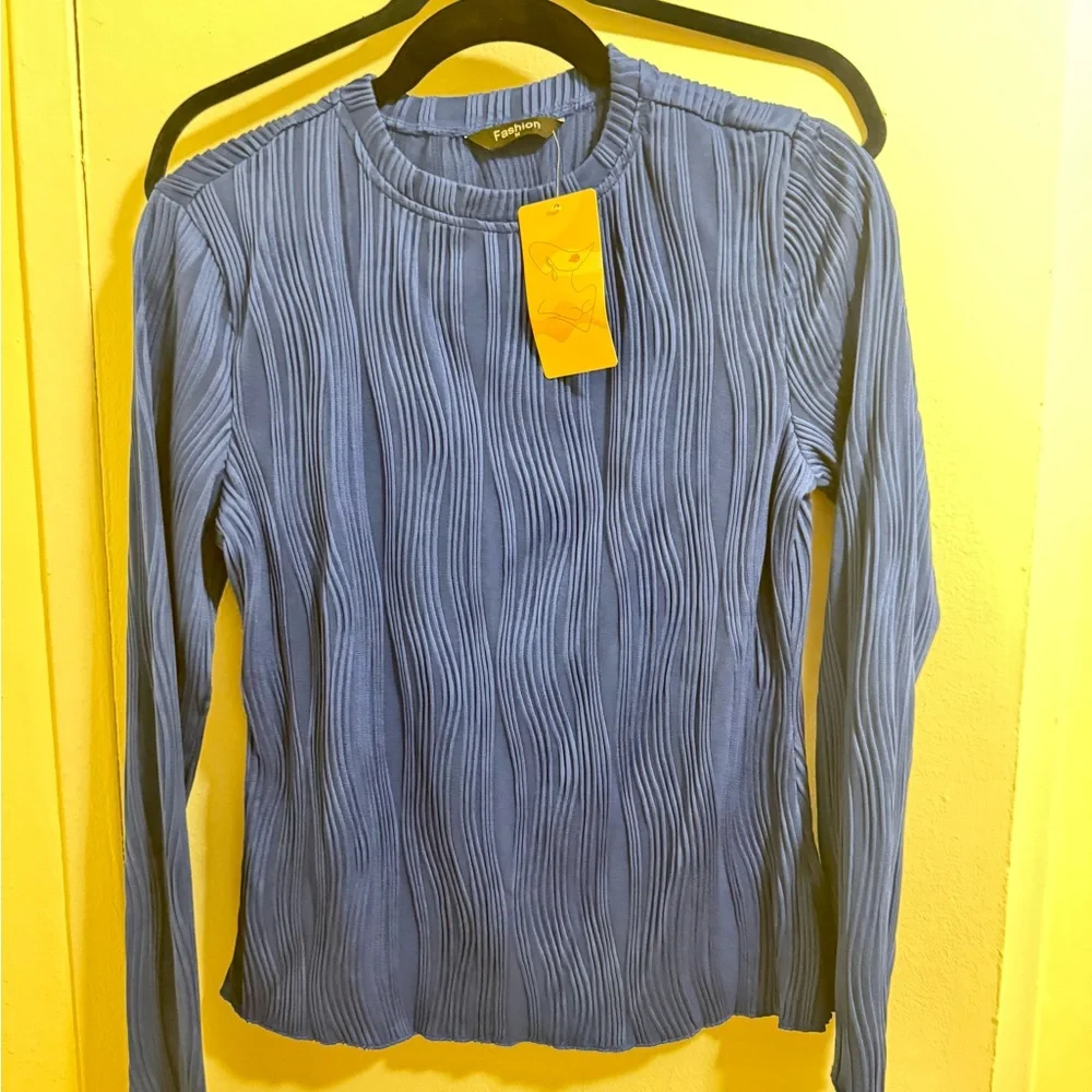 Blue Ribbed Mesh Blouse - Picture 3 of 4